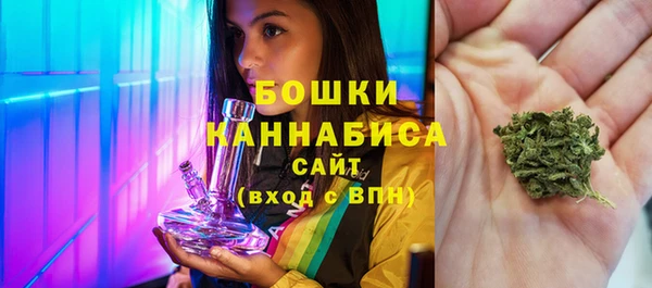 гидра Бронницы